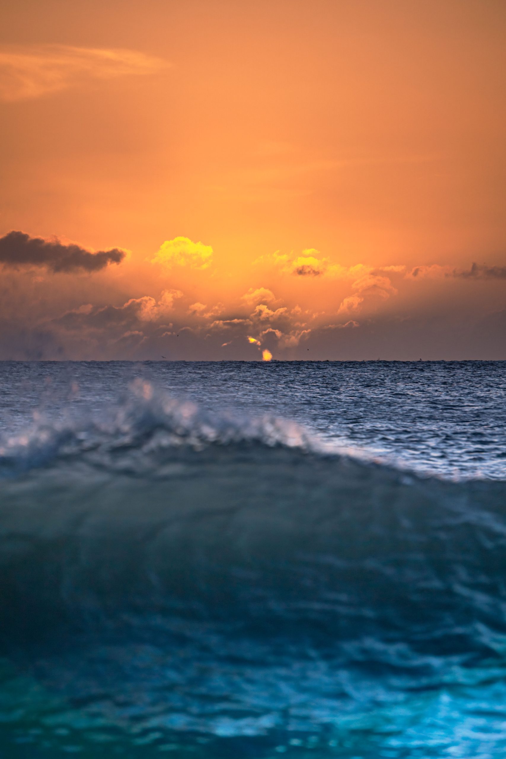 sunrise at shanagarry